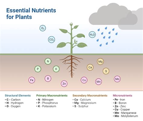 Provides essential nutrients for plants