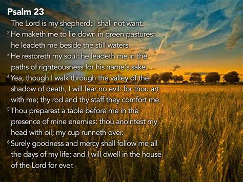 Psalm 23 Doc