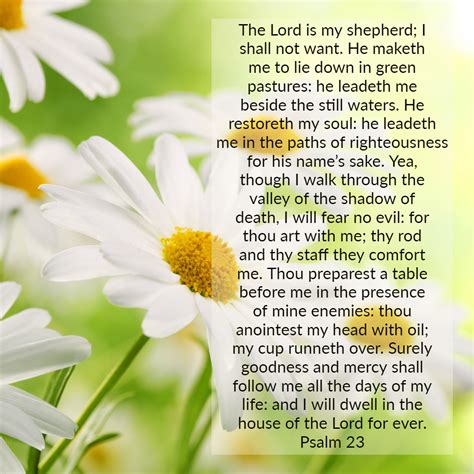 Psalm 23 The Lord Is My Shepherd Reader