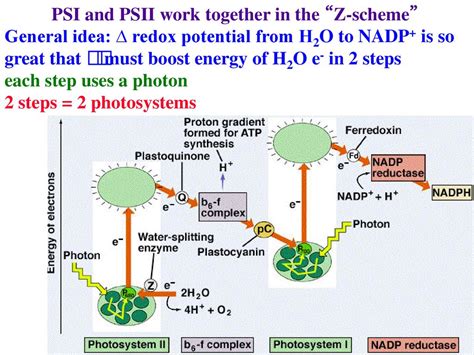 Psi to H2O: The Transformative Potential of Psi Energy