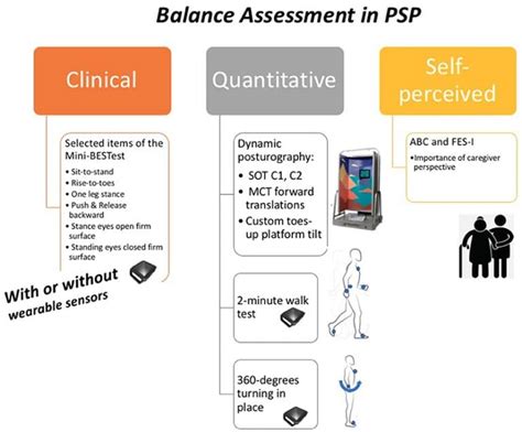 Psp Metrics Test Answers Reader