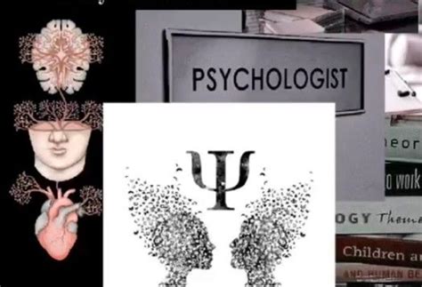 Psych Tuesday 17th: Delving into the Intriguing World of Psychology