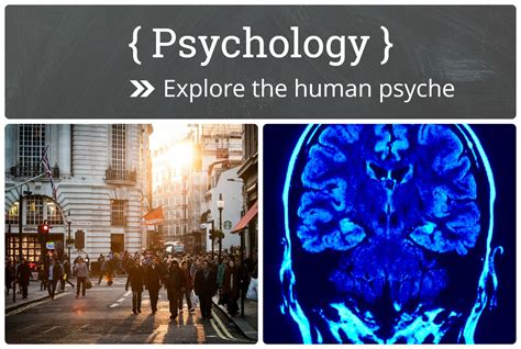 Psychology Courses in Polytechnic: Exploring the Human Psyche