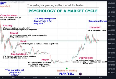 Psychology of a Market Cycle: Understanding Investor Emotions and Market Dynamics