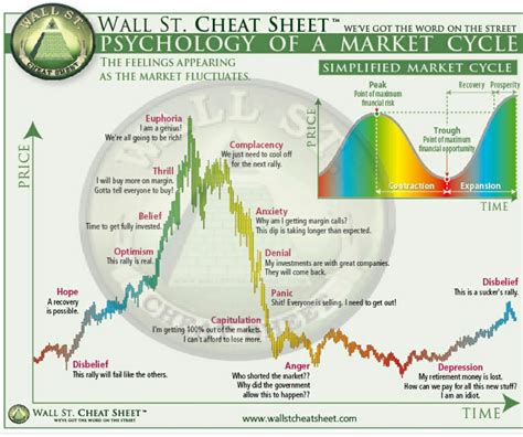 Psychology of the Market Cycle: Understanding Investors' Emotional Rollercoaster