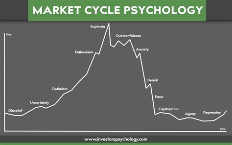 Psychology of the Market Cycle: Unraveling Investors' Emotional Journey