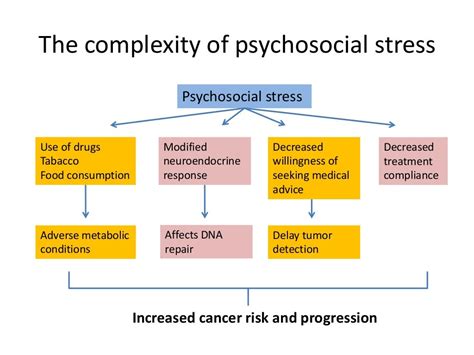 Psychosocial Stress and Cancer Kindle Editon