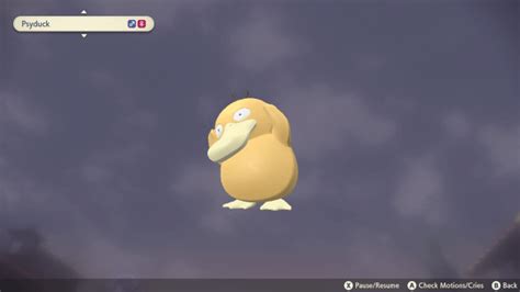 Psyduck Catch Rate: Ultimate Guide to Capturing the Elusive Waterfowl