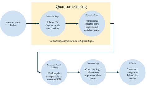 Pts in a Qt: Exploring the Psychological Consequences of Quantum Technology