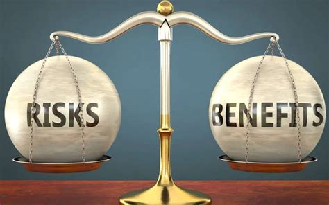 Public Bank Enterprises: Maximizing Benefits, Balancing Risks