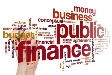 Public Finance Epub