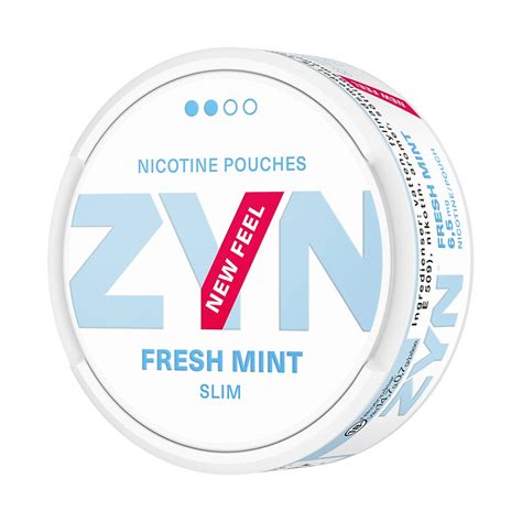 Publix Zyn: The Revolutionary Nicotine Solution