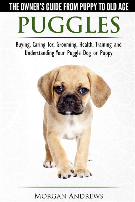 Puggles Pugs: An Insider's Guide to Your Beloved Companions