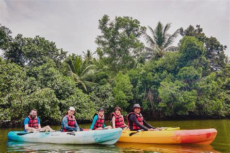 Pulau Ubin OBS: A Haven for Nature and Adventure Enthusiasts