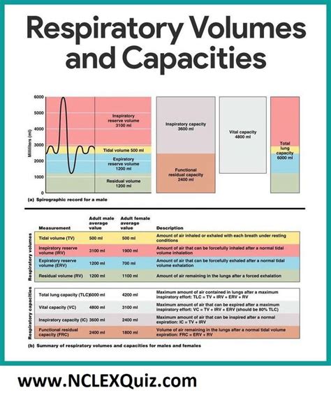 Pulmonary Function Test Interpretation Chart