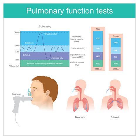 Pulmonary Function Tests in Health & Disease Kindle Editon