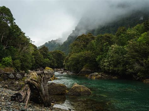 Pumalin: A Pristine Andean Getaway in Chile's Patagonia