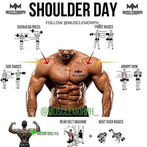 Pump Up Your Physique: The Definitive Guide to Shoulder and Chest Exercises