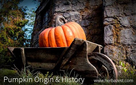 Pumpkin Origins: A Tale of Folklore and Festivity