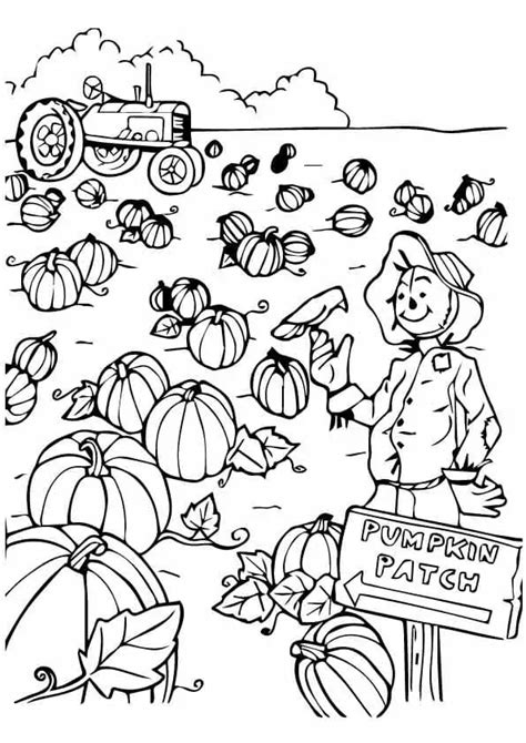 Pumpkin Patch Printable