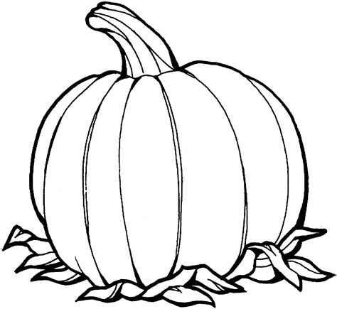 Pumpkin Printable Coloring Pages
