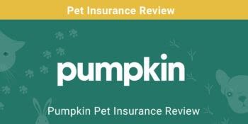 Pumpkin insurance pricing and discounts