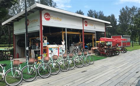 Punggol Bike Rental: Your Ultimate Guide to Biking in the Northeast