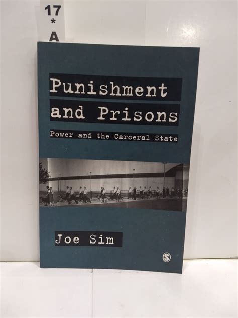 Punishment and Prisons: Power and the Carceral State Epub