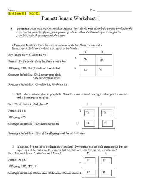 Punnett Square 1 Answer Key Doc