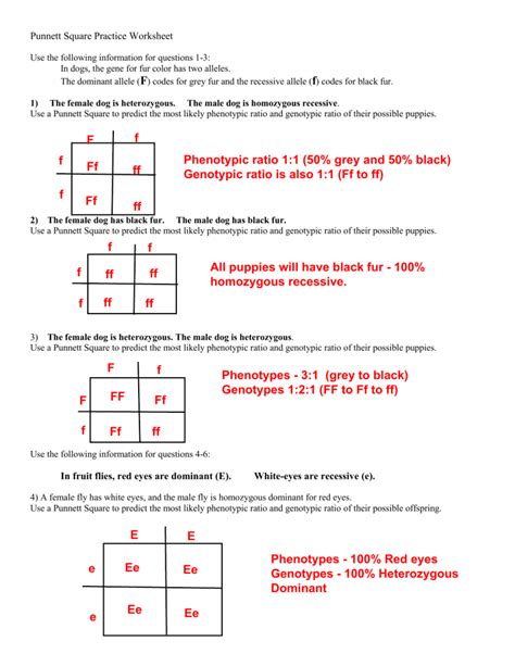 Punnett Square Exercises With Answers Solving Monohybrid Kindle Editon