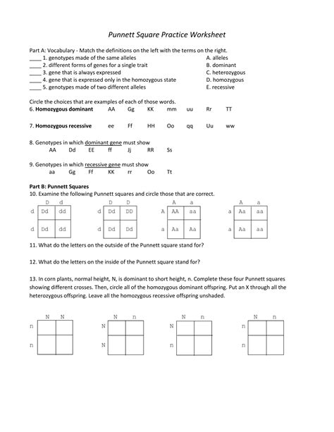 Punnett Square Practice Pages Answers Reader