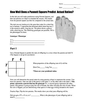 Punnett Square Predictions And Actual Ratios Answers PDF