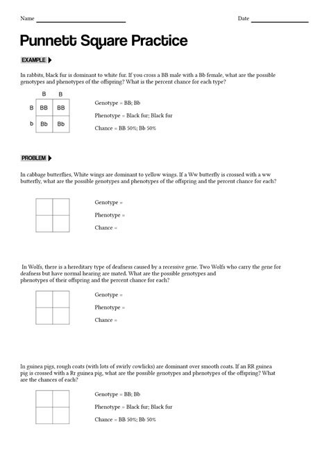 Punnett Square Quiz Answers 15 Points Reader