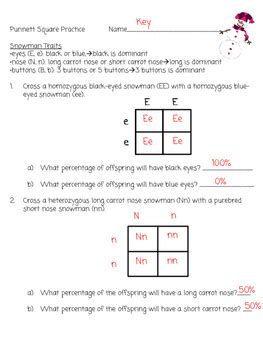 Punnett Square Vocabulary And Practice Answers Key Doc