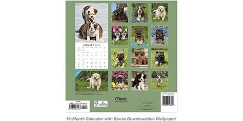 Puppies Wall Calendar Mead PDF