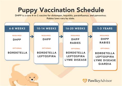 Puppy Shots Schedule Chart