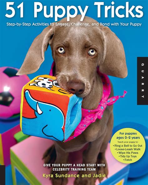 Puppy Tricks Step   Step Activities PDF