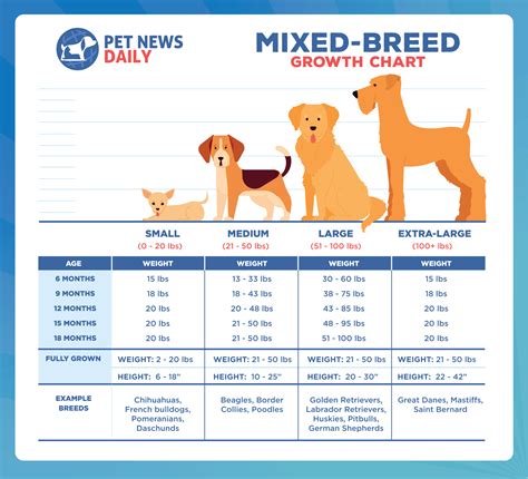 Puppy Weight Calculator: Determining the Healthy Growth of Your Mixed Breed Companion