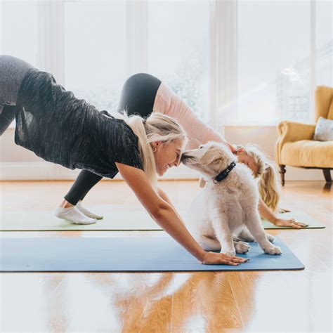 Puppy Yoga: 2025 Research Unveils Surprising Benefits