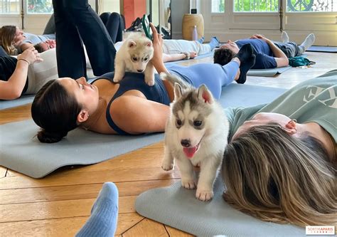 Puppy Yoga: A Transformative Experience