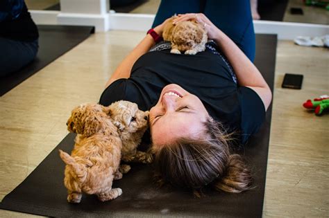 Puppy Yoga: Manufacturing VS Production News for 2025