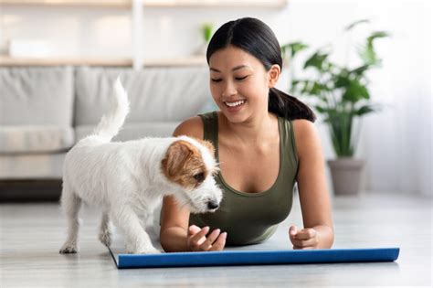 Puppy Yoga retreats and vacations research