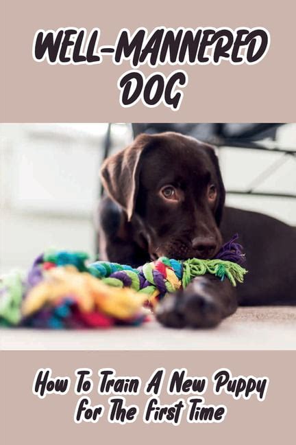 Puppy s First Year A well-mannered dog Doc