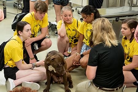 Purdue University Vet Camp: An Immersive Experience for Aspiring Veterinarians