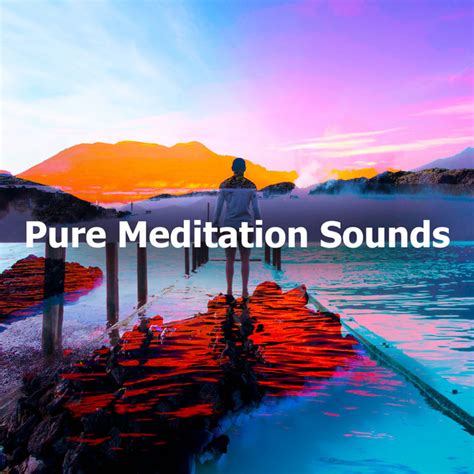 Pure Meditation PDF