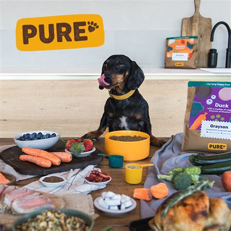 Pure Pet Food Charity and Donation Programs: 2025 and Beyond