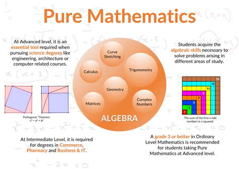 Pure mathematics