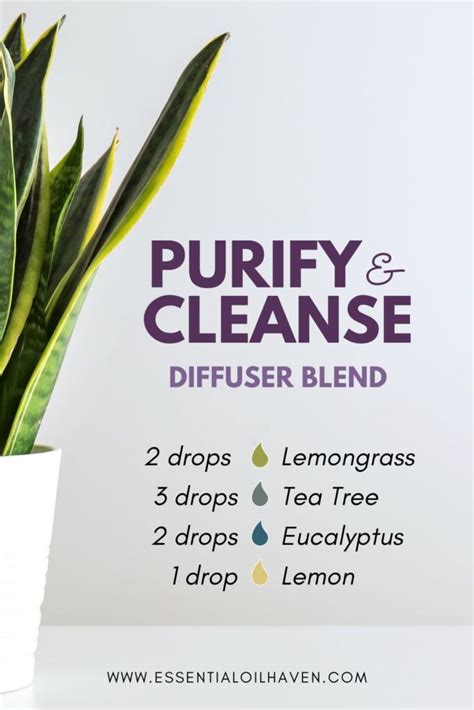 Purify and cleanse: