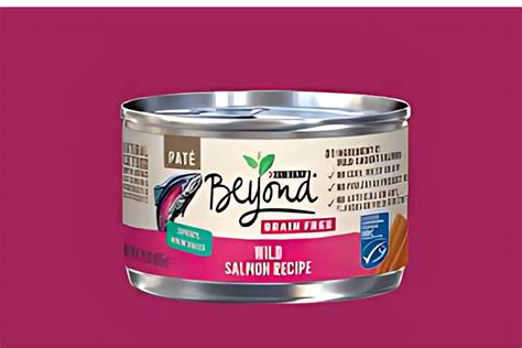 Purina Canned Cat Food: A Purr-fect Choice for Feline Delights