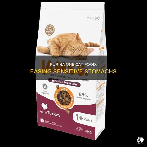 Purina Cat Food for Sensitive Stomachs: A Comprehensive Guide